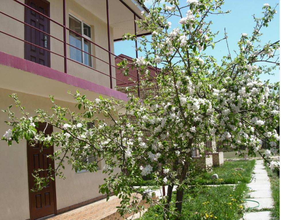 בוסטרי Meerim Murok מראה חיצוני תמונה